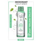 Storm Kadın Deodorant Sprey Terleme Karşıtı Vegan Fit Dry 150 Ml