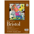 Strathmore 400 Serisi Bristol, 2 katmanlı parşömen kağıdı, 27,9 x 35,6 cm, ciltli, 15 yaprak