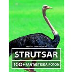 Struts Fotobok - Vacker Stor Samling: 100+ Fantastiska Bilder - För Barn Och Vuxna