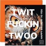 Stuff4 Erkekler ve kadınlar için eğlenceli doğum günü kartları – Twit Twoo baykuş – Anne, baba, erkek kardeş, kız kardeş, oğul, dede için kaba şaka Happy Birthday kartı, 145 mm x 145 mm Banter Humor doğum
