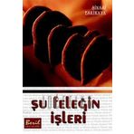 ŞU FELEĞIN İŞLERI - ŞINASI ESKIKAYA