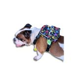 Su Geçirmez Köpek Sırt Çantası - Ayarlanabilir Göğüs Tasması Fonksiyonu