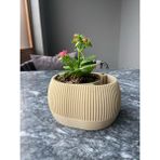 Su Hazneli Dekoratif Modern Saksı - Bej