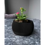 Su Hazneli Dekoratif Modern Saksı - Siyah