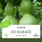 Su Kabağı Tohumu - 25 Adet
