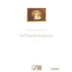 SU YOLUNDA KIRILANLAR - FATMA MANSUR COŞAR