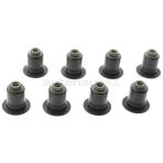 Subap Lastiği Takım Emme Set N20/F20/F21/F30/F45