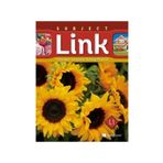 Subject Link Starter L1 with Workbook - MultiROM - Amanda Richards Amy Gradin