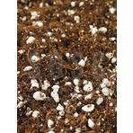 SUBSTRAT LIGHT MIX Ithal Sphangum Torfu Cocopeat Perlit Özel Karışım Saksı Harcı Çiçek Ve Bitki Toprağı 10 LT