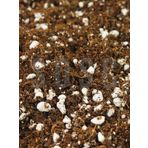 SUBSTRAT LIGHT MIX Ithal Sphangum Torfu Cocopeat Perlit Özel Karışım Saksı Harcı Çiçek Ve Bitki Toprağı 5 LT