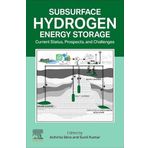 Subsurface Hydrogen Energy Storage: Current Status, Prospects, and Challenges