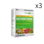 Suda Vitamin Berberine Plus 3x30 Kapsül
