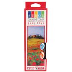 Südor Guaj Boya, 12 Renk, 15 ml 89869651111957195