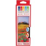 Sudor Sd525 Guaj Boya 12 Renkx20ml