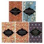 Sufi Tasavvuf Klasikleri 5 Kitap Set / Fütuhul Gayb - Mutluluğun Kazanılması - Bir Alimin Günlüğü - Sufilerin Edepleri - Ruhun Hastalıkları ve Çareleri
