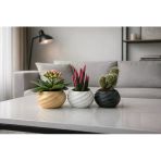Sukulent Ve Kaktüsler İçin Modern Saksı - 200 Mm