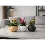 Sukulent Ve Kaktüsler İçin Modern Saksı - 80 Mm