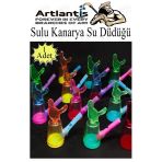 Sulu Kanarya Su Düdüğü 1 Adet Sulu Bülbül Kuş Sesi Çıkaran Düdük Oyuncak Karne Sınıf Çocuk Hediyesi