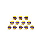 Summit Smt-X320 Voleybol Topu Seti 12’Li | Maksimum ,