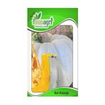 Sunagri 10 gr Bal Kabağı Tohumu