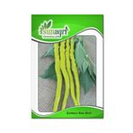 Sunagri 10 gr Çorbacı Sarı Sivri Biber Tohumu
