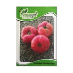 Sunagri 2 gr Köy Domatesi Tohumu