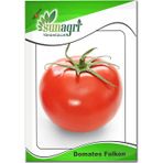 Sunagri Falcon Domates Tohumu