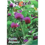 Sunagri Tohumculuk Sunagri Hanım Düğmesi Çiçek Tohumu