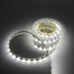 Sunlight Şerit Led 3 Çip 60 Led 24V 5M Beyaz İç Mekan
