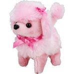 Sunman Sevimli Köpek Poodle