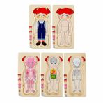 SUNMAN Tahta Puzzle 4X7 Parça insan Vücudu