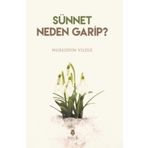 Sünnet Neden Garip? - Nureddin Yıldız