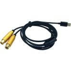 Sunshinee Çift Rca Dişi Tip-C USB C Sinyali Video Av Ses Kablosu Konektörü Kurşun Kablosu (Yurt Dışından) - Siyah