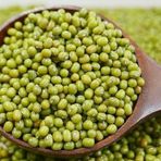 Süper Paket Fasulye Mung Bean Tohumu 100 Tohum+Hediye Tohum