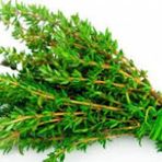 Süper Paket Yerli Aromatik Dağ Kekiği Tohumu 300 Tohum+Hediye Toh