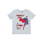 Superman Süperman Best Frıend Baskılı 2-5 Yaş Tişört - Beyaz