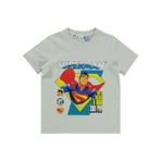 Superman Süperman Can Fly Baskılı 2-5 Yaş Tişört - Gri3-4 Yaş