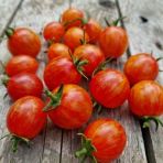 Supernova Cherry Domates Tohumu(15 Tohum)