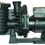 Superpool Scpa Serisi 4 Hp Monofaze Havuz Pompası