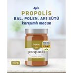 Suplara Api Plus Propolis, Bal, Polen, Arı Sütü Karışımlı Macun 450 gr