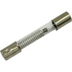 Süppürge Mikrodalga Ile Uyumlu Fırın Cam Sigorta 0.8A 5kv - 2cm - 1