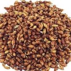 Süpürge Otu Tohumu 100 Gr