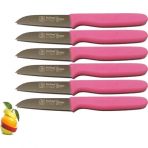 Sürbisa Sürmene 061007 6Lı Pembe Meyve Bıçağı Seti