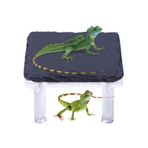 Sürüngen Güneşlenme Kayası | Sakallı Ejderha Barınağı Akrilik Standlı - Gecko Kaplumbağa Kertenkele Yılan Bukalemun İçin Terraryum Habitat Dekoru