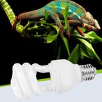 Sürüngen UVB Ampul, 13W 220 250V PET UV Isıtma Güneş Işığı Ampul, Kompakt E Kalsiyum Takviyesi Terraryum Isı Lambaları Amfibi Kertenkele Kaplumbağa Lambası Aydınlatma Lambası D3 (5.0)