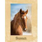 Susan: Chestnut Horse Personalised Notebook (Large) (Chestnut Horse Personalised Notebooks, Band 64)