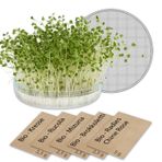 Süzgeçli filizler için filiz camlı mikro yeşillik yetiştirme kiti GreenEdge organik filiz yetiştirme kiti bitkiler mikro yeşillikler bitki tohumları yetiştirme kiti (1 paket)
