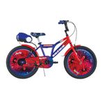 Suzico Fast Spider 20 Jant Ç.Kadro Bisiklet