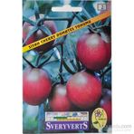 Sveryverts Siyah Cherry Domates Tohumu