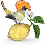 Swarovski 5651811 Idyllia Royal Flycatcher Biblo